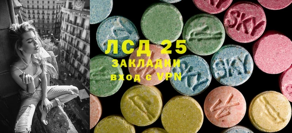 прущие грибы Абдулино