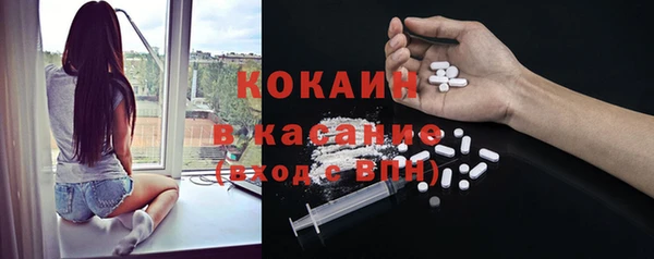 прущие грибы Абдулино