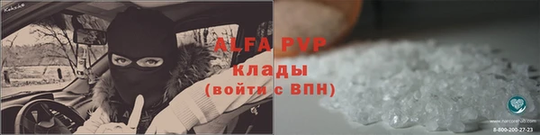 прущие грибы Абдулино