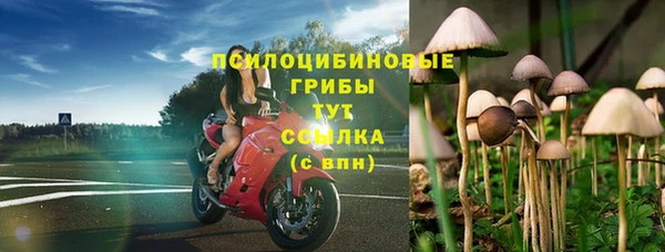прущие грибы Абдулино