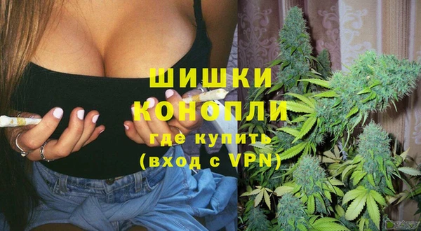 прущие грибы Абдулино