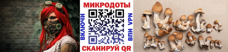 Галлюциногенные грибы MAGIC MUSHROOMS  Котовск 
