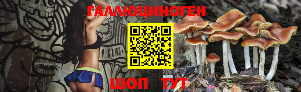 Псилоцибиновые грибы Psilocybe  Вход с VPN  Котовск  купить закладку  Галлюциногенные грибы ЛСД 